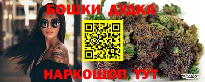 МДПВ Будённовск