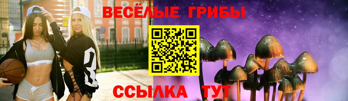Галлюциногенные грибы мухоморы  Вход с VPN  Богородск 